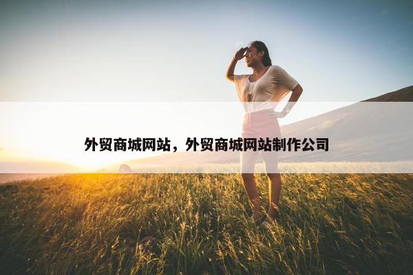 外贸商城网站，外贸商城网站制作公司