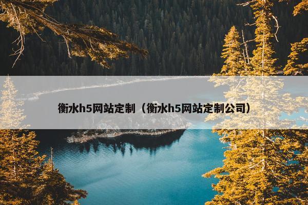 衡水h5网站定制（衡水h5网站定制公司）