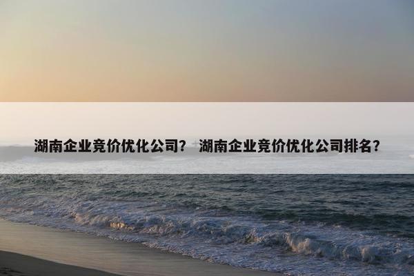 湖南企业竞价优化公司？ 湖南企业竞价优化公司排名？
