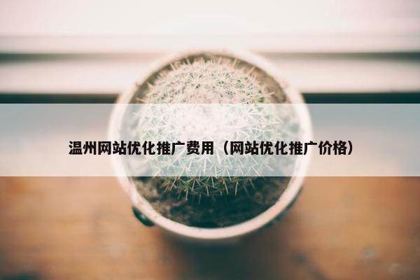 温州网站优化推广费用（网站优化推广价格）
