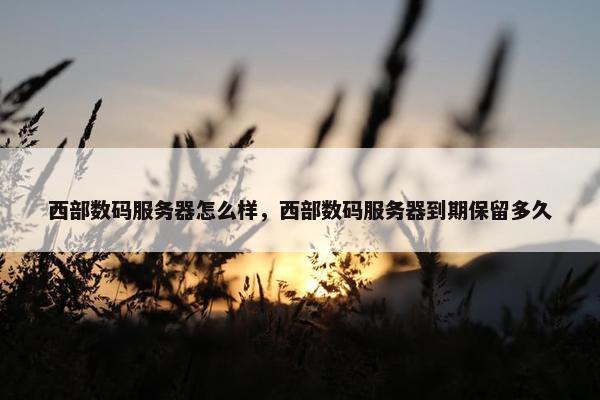 西部数码服务器怎么样，西部数码服务器到期保留多久