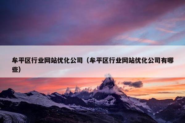 牟平区行业网站优化公司（牟平区行业网站优化公司有哪些）