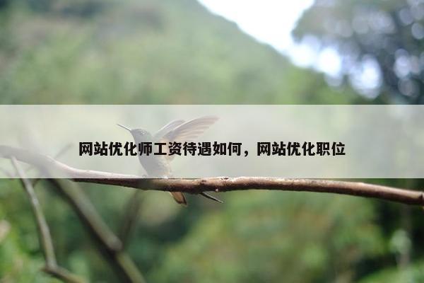 网站优化师工资待遇如何，网站优化职位