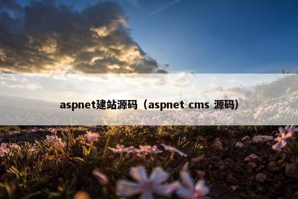 aspnet建站源码（aspnet cms 源码）