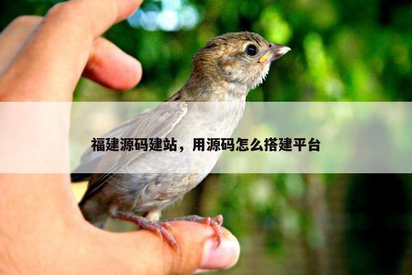福建源码建站，用源码怎么搭建平台