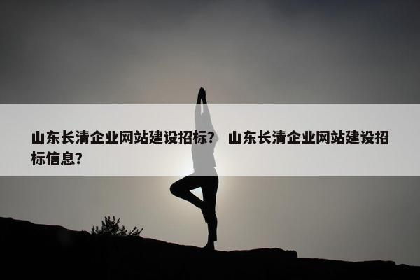 山东长清企业网站建设招标？ 山东长清企业网站建设招标信息？