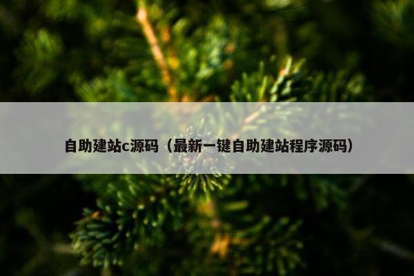 自助建站c源码（最新一键自助建站程序源码）