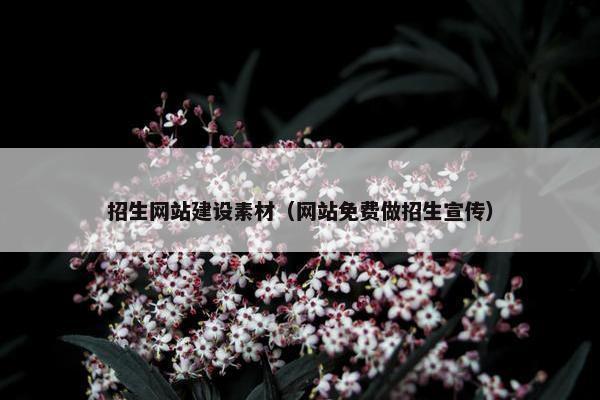 招生网站建设素材（网站免费做招生宣传）