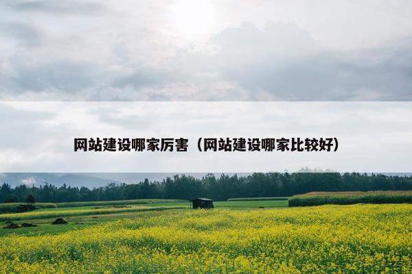 网站建设哪家厉害（网站建设哪家比较好）