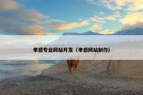 孝感专业网站开发（孝感网站制作）