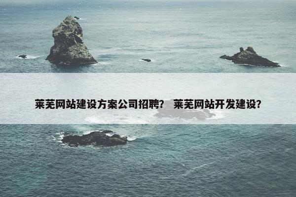 莱芜网站建设方案公司招聘？ 莱芜网站开发建设？
