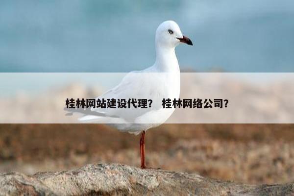 桂林网站建设代理？ 桂林网络公司？