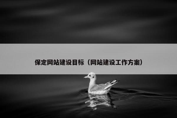 保定网站建设目标（网站建设工作方案）