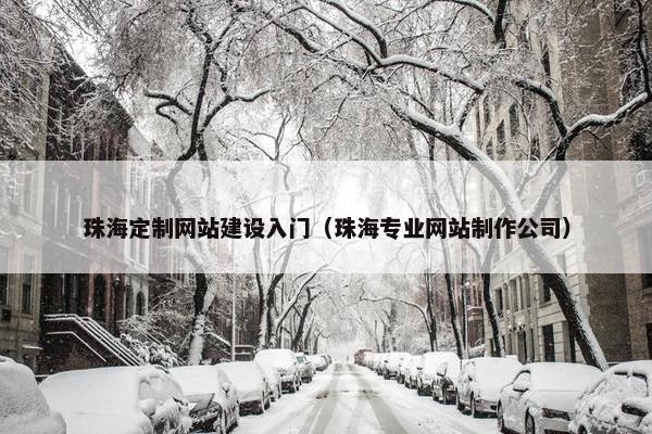 珠海定制网站建设入门（珠海专业网站制作公司）