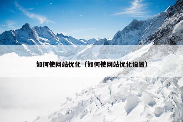 如何使网站优化（如何使网站优化设置）
