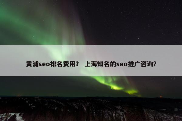 黄浦seo排名费用？ 上海知名的seo推广咨询？