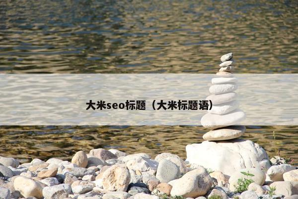 大米seo标题（大米标题语）
