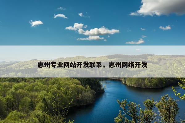 惠州专业网站开发联系，惠州网络开发