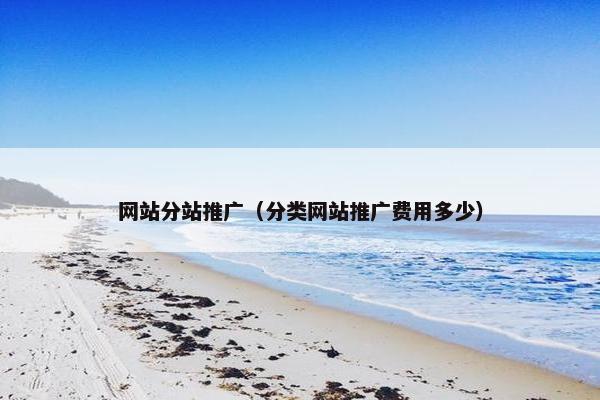 网站分站推广（分类网站推广费用多少）