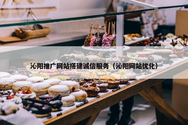 沁阳推广网站搭建诚信服务（沁阳网站优化）