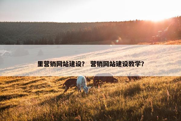 里营销网站建设？ 营销网站建设教学？
