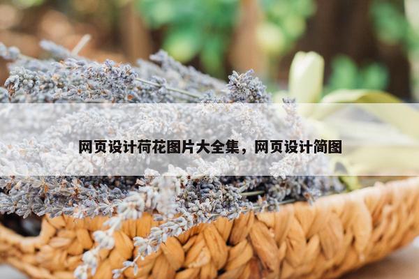 网页设计荷花图片大全集，网页设计简图