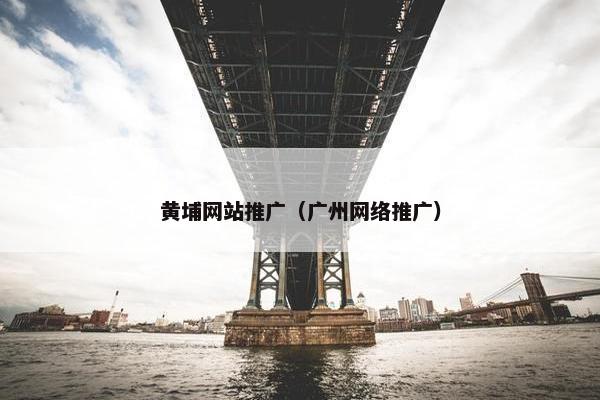 黄埔网站推广（广州网络推广）
