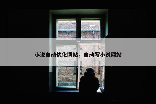 小说自动优化网站，自动写小说网站