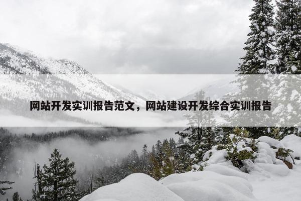 网站开发实训报告范文，网站建设开发综合实训报告