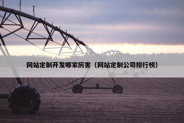 网站定制开发哪家厉害（网站定制公司排行榜）