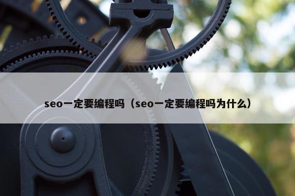 seo一定要编程吗（seo一定要编程吗为什么）