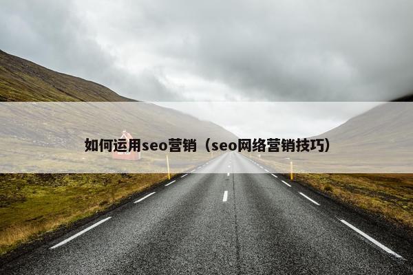 如何运用seo营销（seo网络营销技巧）