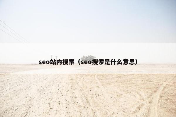 seo站内搜索（seo搜索是什么意思）