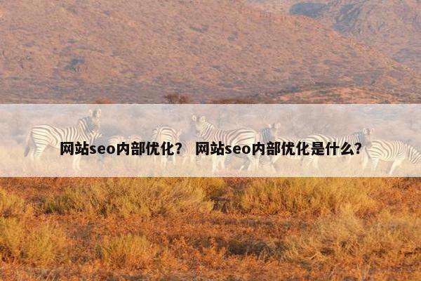 网站seo内部优化？ 网站seo内部优化是什么？