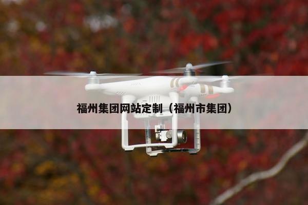 福州集团网站定制（福州市集团）