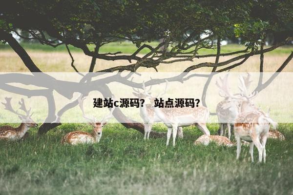 建站c源码？ 站点源码？