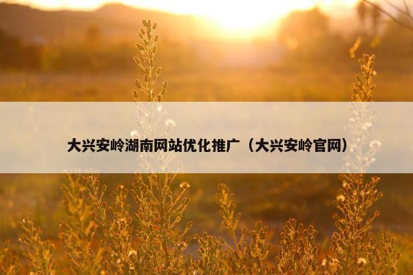 大兴安岭湖南网站优化推广（大兴安岭官网）