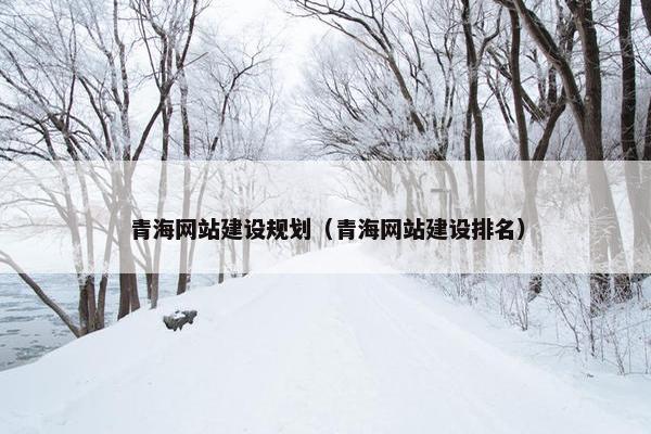 青海网站建设规划（青海网站建设排名）
