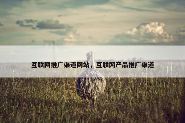 互联网推广渠道网站，互联网产品推广渠道