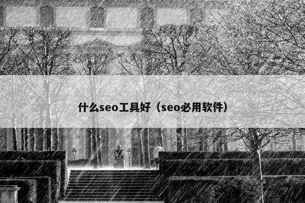 什么seo工具好（seo必用软件）
