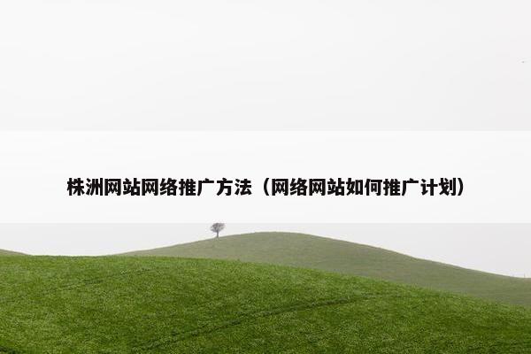 株洲网站网络推广方法（网络网站如何推广计划）