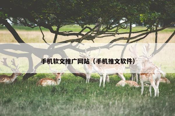 手机软文推广网站（手机推文软件）