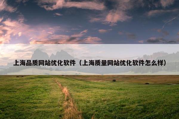 上海品质网站优化软件（上海质量网站优化软件怎么样）