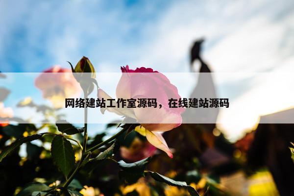 网络建站工作室源码，在线建站源码