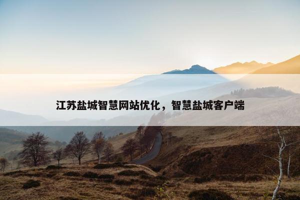 江苏盐城智慧网站优化，智慧盐城客户端