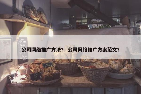 公司网络推广方法？ 公司网络推广方案范文？