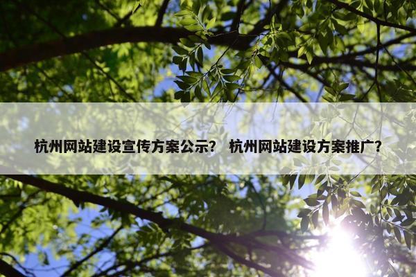 杭州网站建设宣传方案公示？ 杭州网站建设方案推广？