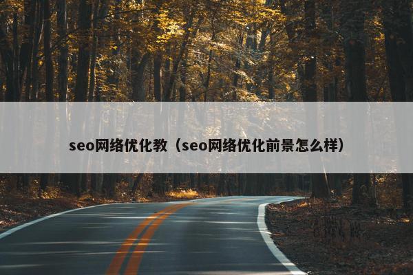 seo网络优化教（seo网络优化前景怎么样）