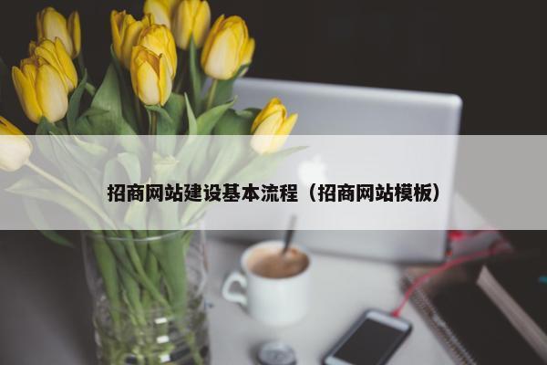 招商网站建设基本流程（招商网站模板）