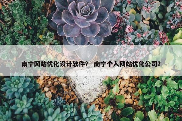 南宁网站优化设计软件？ 南宁个人网站优化公司？